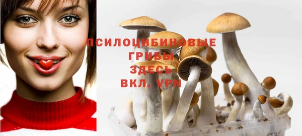 мет Алексин