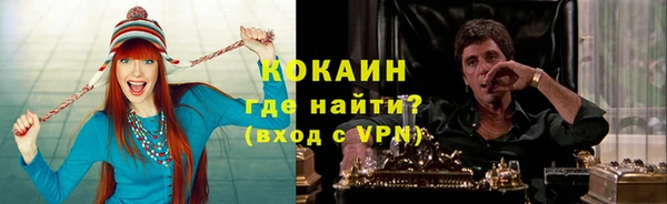 мет Алексин