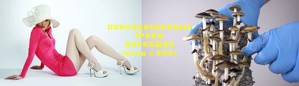 СК Алзамай