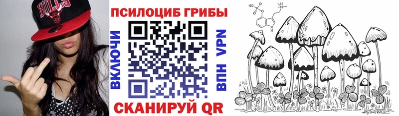 Псилоцибиновые грибы Cubensis  дарнет шоп  Ревда 